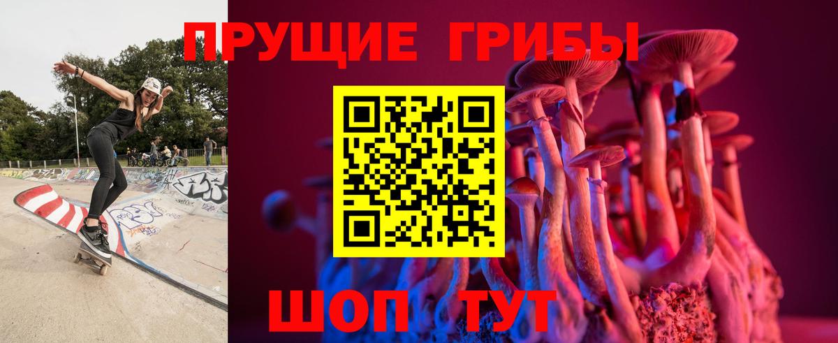 Галлюциногенные грибы Cubensis Альметьевск
