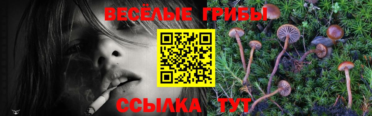 Псилоцибиновые грибы Psilocybe  Вход с VPN  Альметьевск 